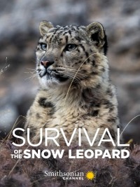 Survival Of The Snow Leopard 2020
